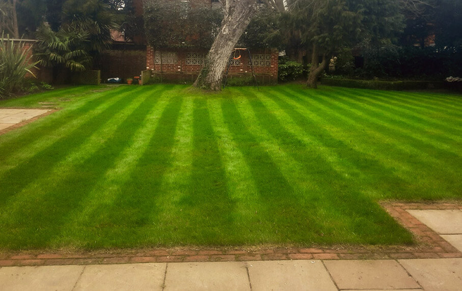 lawn treatment