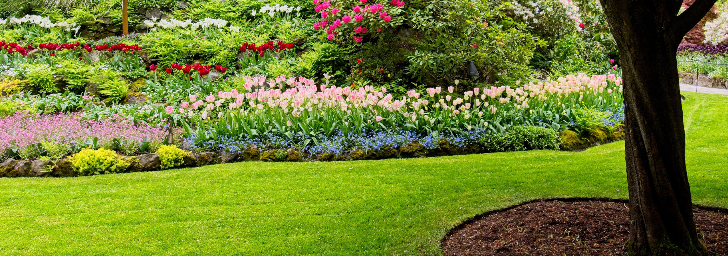 lawn care