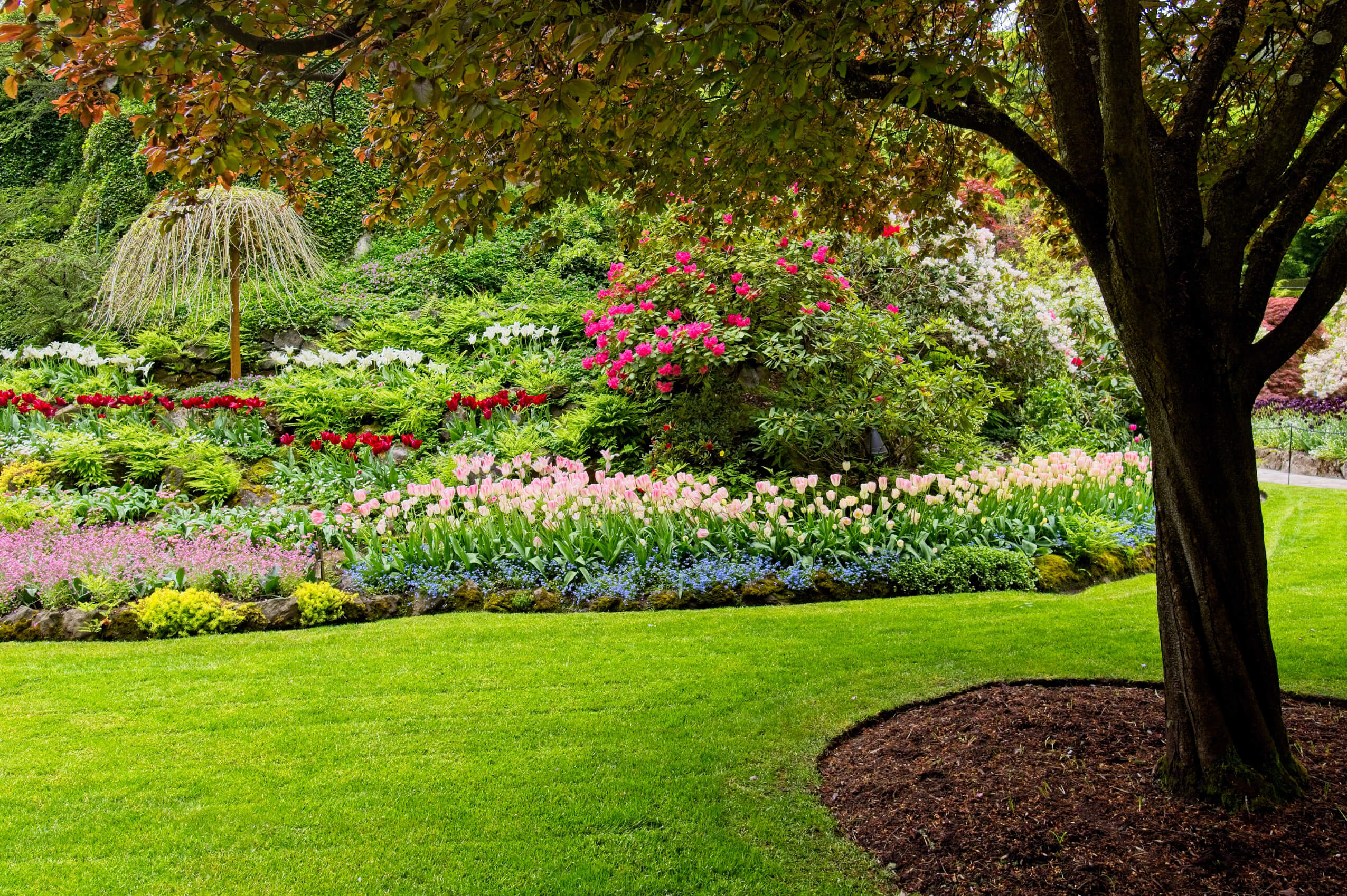 lawn treatment