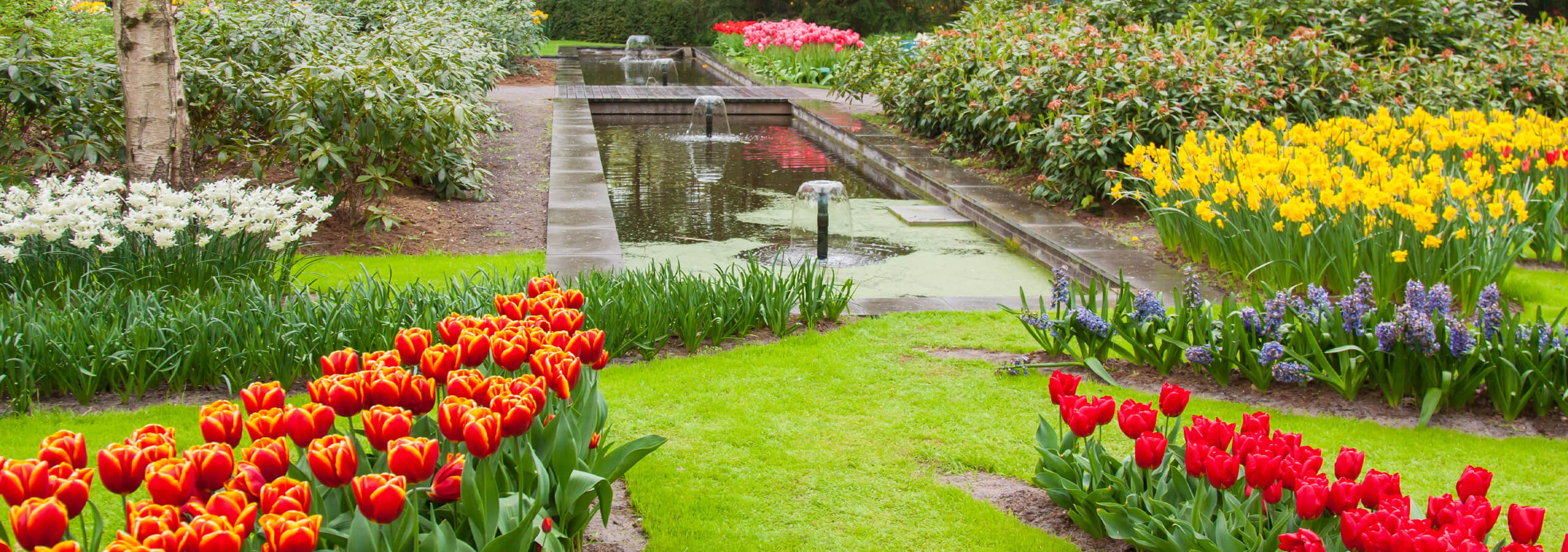 garden services