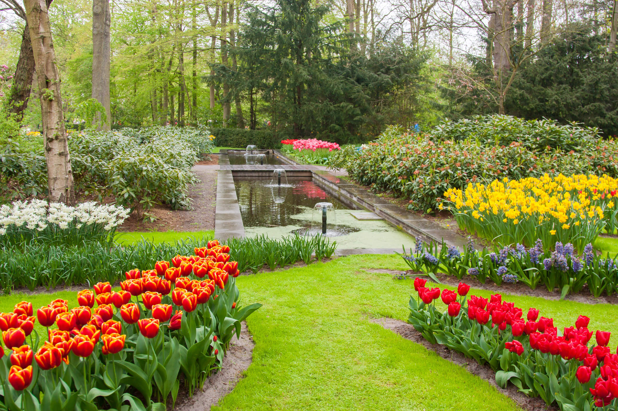 gardening services