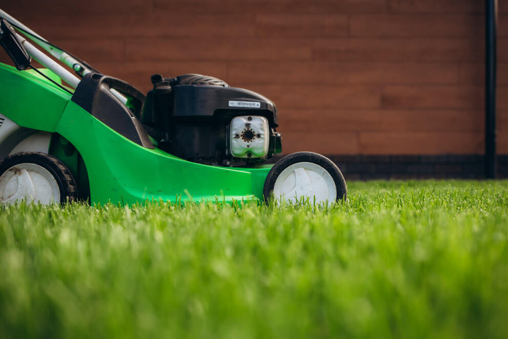 grass cutting