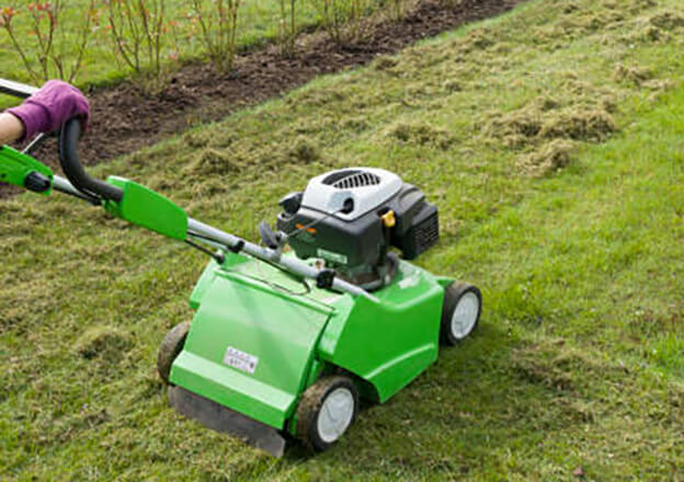 Lawn Scarification