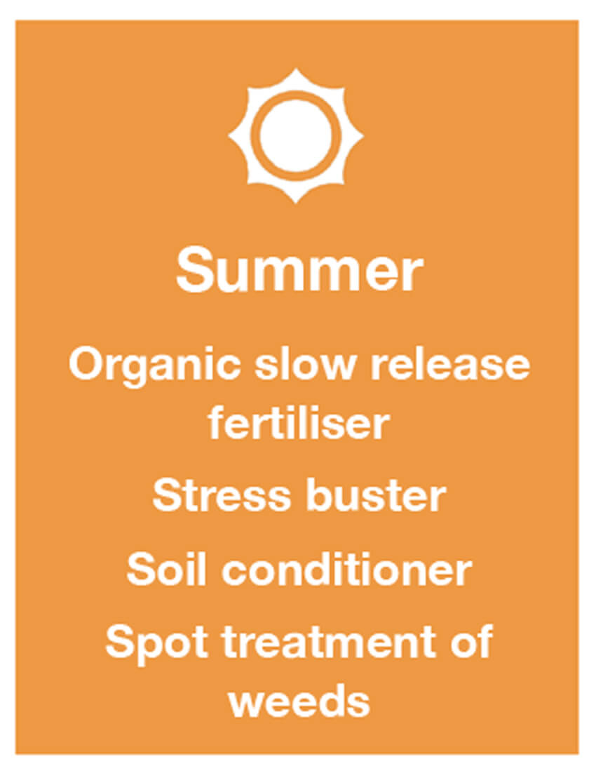 Lawn Treatment Programme