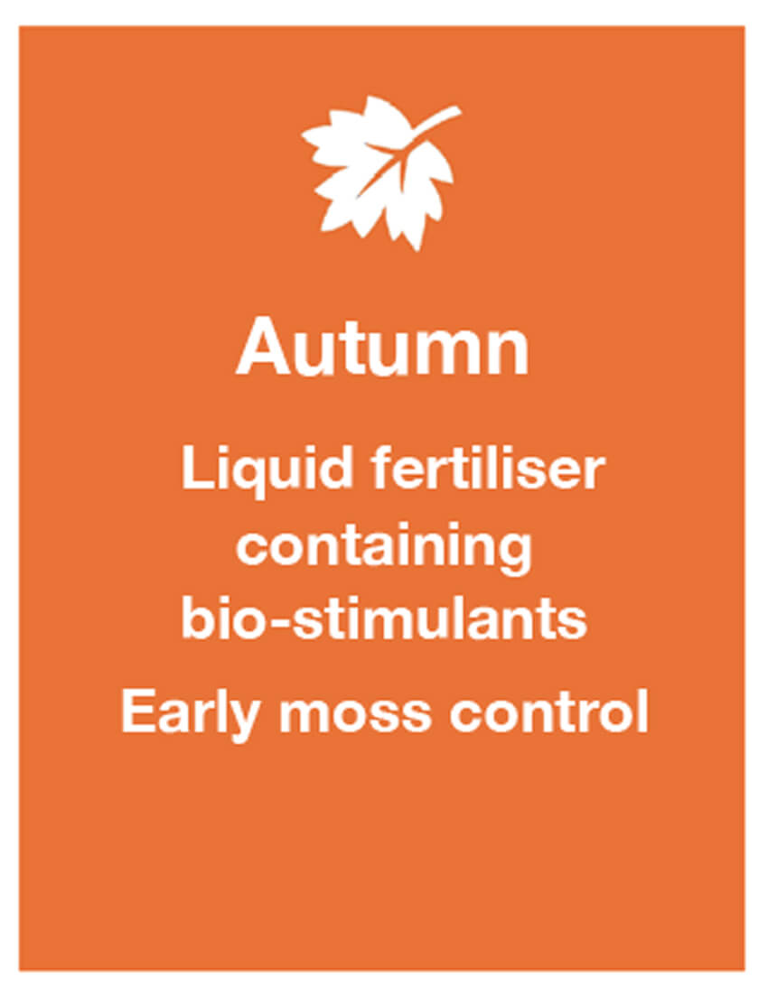 Lawn Treatment Programme
