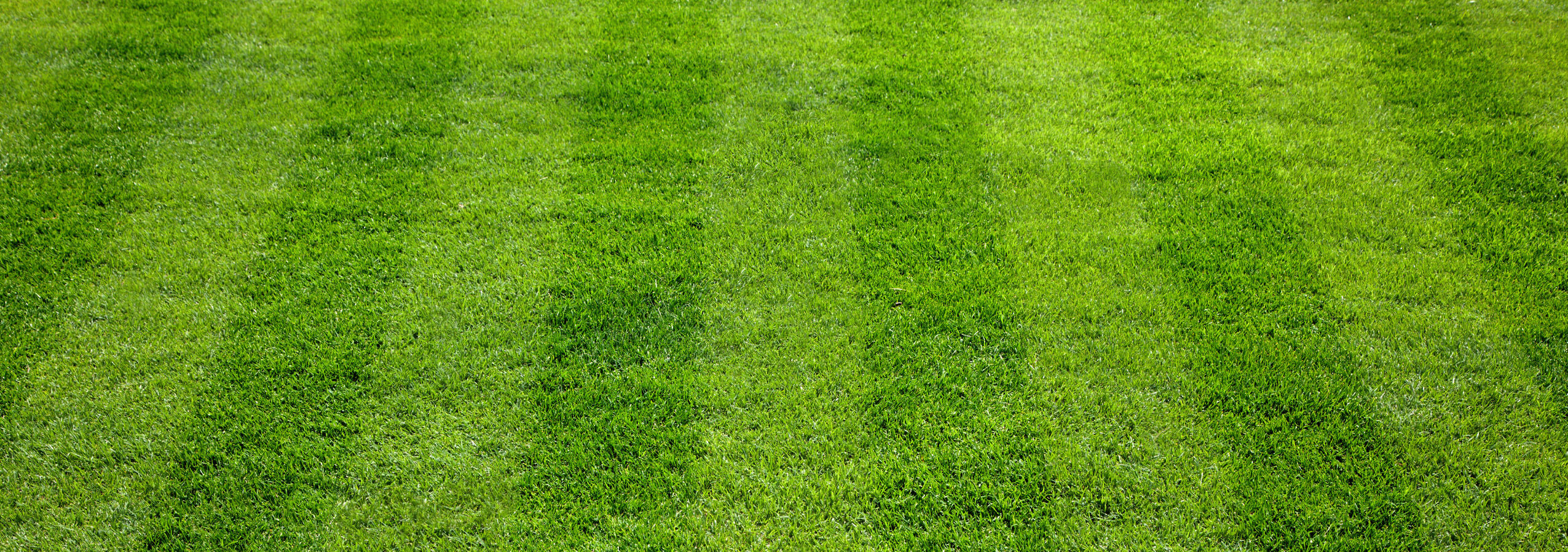 garden services