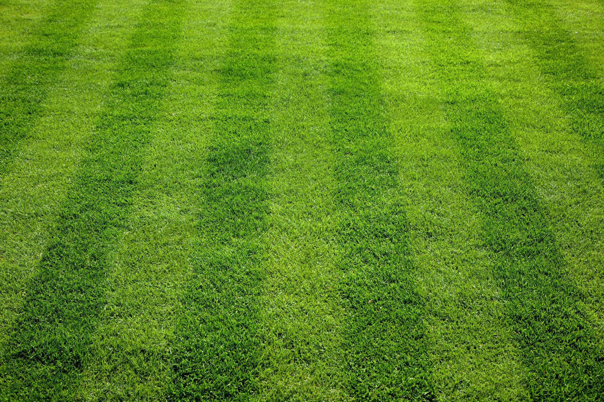 gardening services